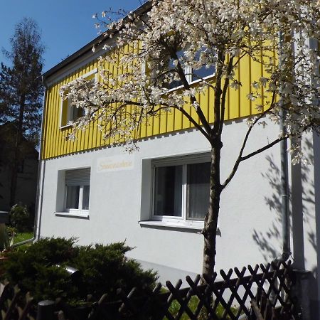 Hosena Ferienwohnung Im Haus Sonnenschein Beim Senftenberger See מראה חיצוני תמונה