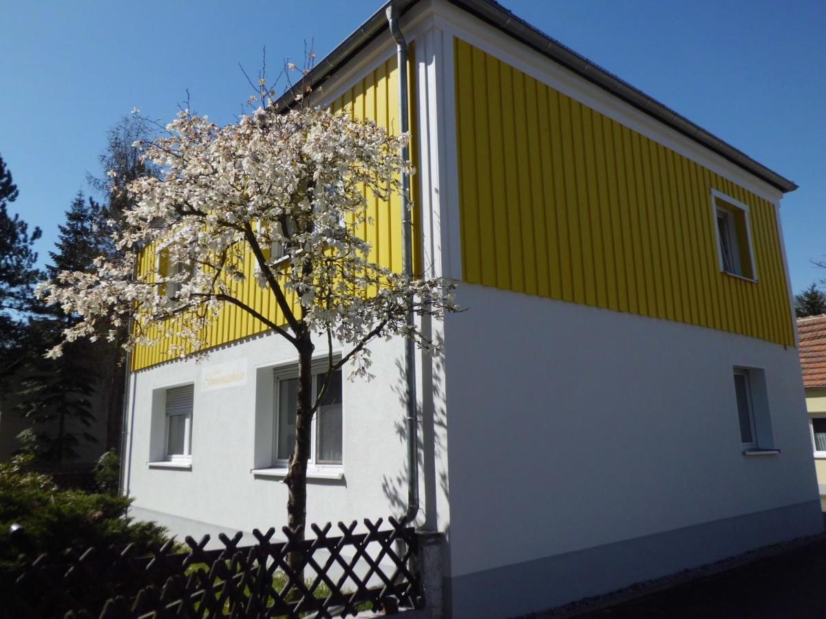 Hosena Ferienwohnung Im Haus Sonnenschein Beim Senftenberger See מראה חיצוני תמונה